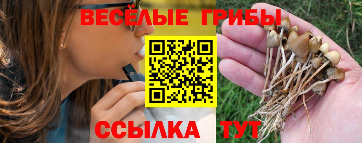 Борисоглебск  Галлюциногенные грибы Psilocybe  Вход с VPN  Галлюциногенные грибы MAGIC MUSHROOMS 