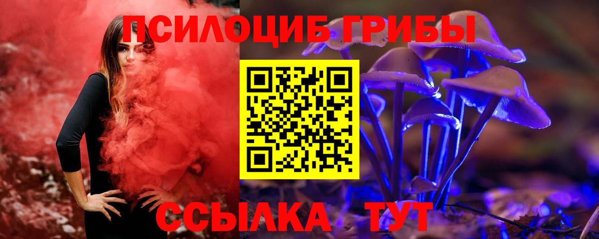 Псилоцибиновые грибы MAGIC MUSHROOMS Борисоглебск